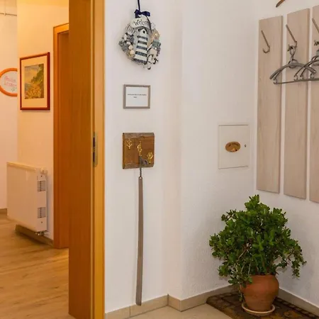 Alexander Lejlighed *